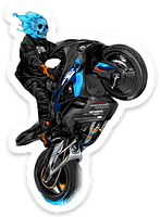 Sticker: BMW S1k Bike